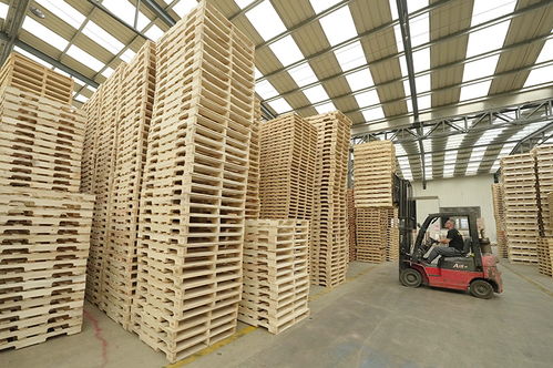 河北唐山 鄉(xiāng)村工廠 拓寬村民致富路