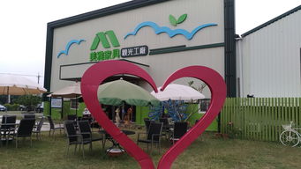 美雅家具觀光工廠 一場(chǎng)融合工藝與休閑的獨(dú)特體驗(yàn)之旅